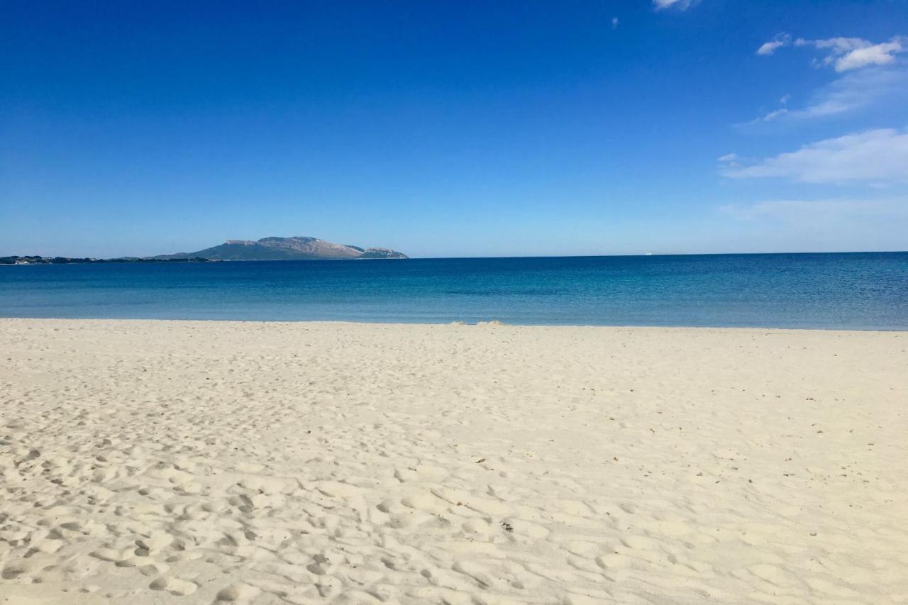 Le Dimore Di Nettuno Olbia Exteriér fotografie