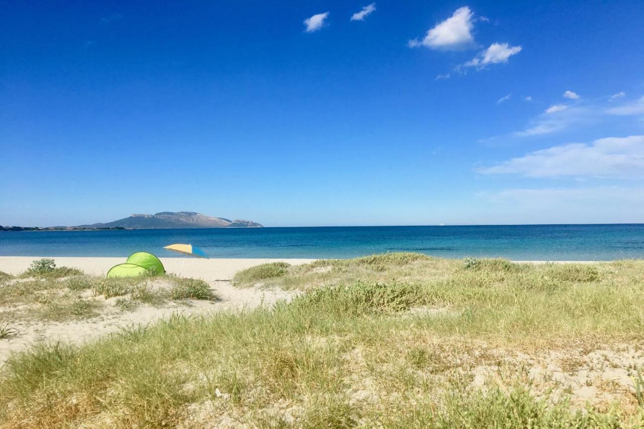 Le Dimore Di Nettuno Olbia Exteriér fotografie