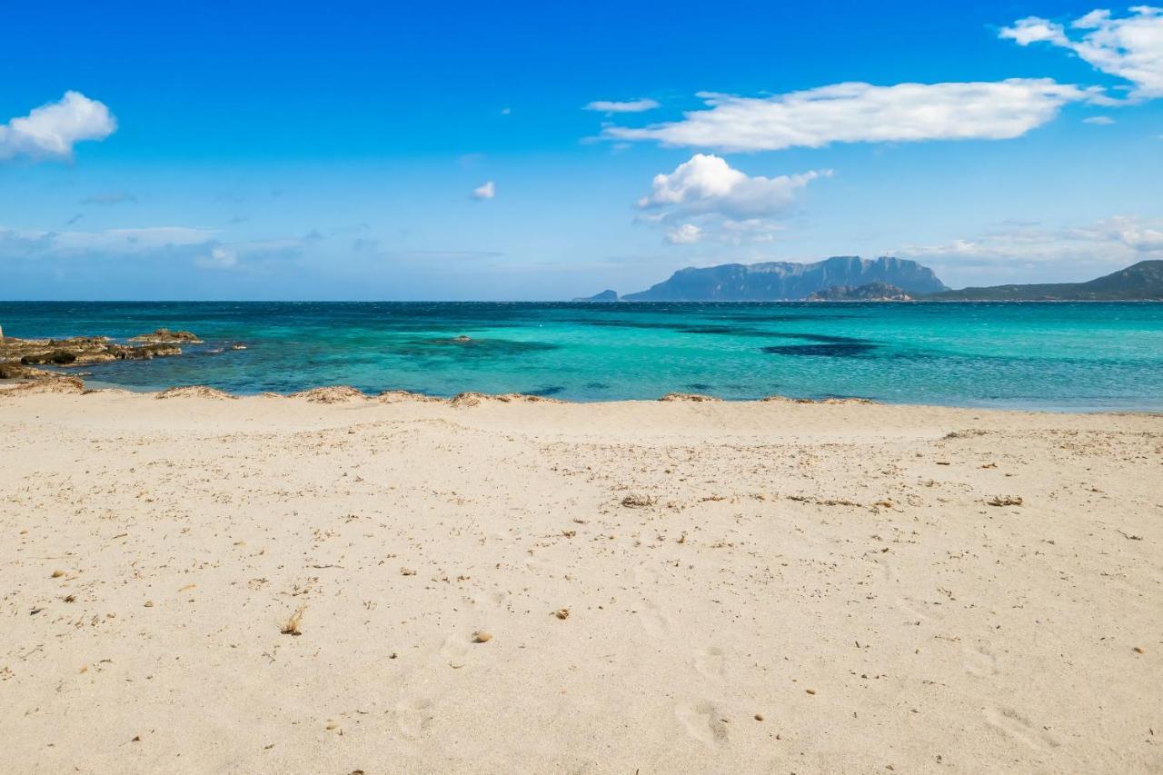 Le Dimore Di Nettuno Olbia Exteriér fotografie